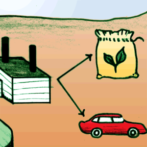Carbon Capture Use and Storage