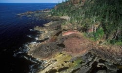 Aerial view of Haida Gwaii