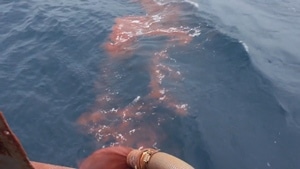 Iron fertilization involves dumping iron-rich soil into the ocean. Scientists say iron-rich dirt promotes the growth of plankton, microscopic organisms that provide a food source for salmon and other sealife. (CBC/HSRC)