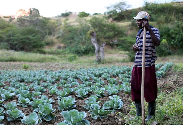 farming