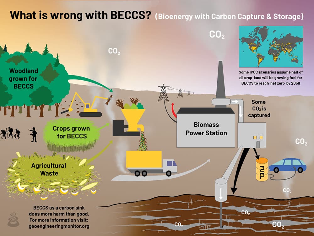 Carbon Sequestration: Carbon Capture, Removal, Utilization, and